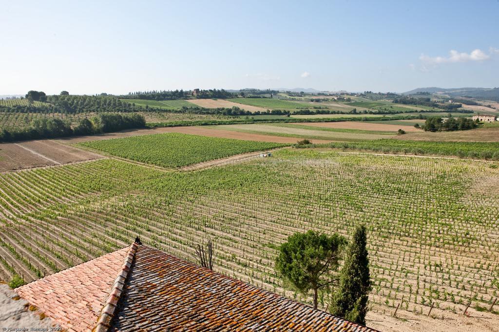 Tenuta Di Petriolo Pension Torrita di Siena Buitenkant foto