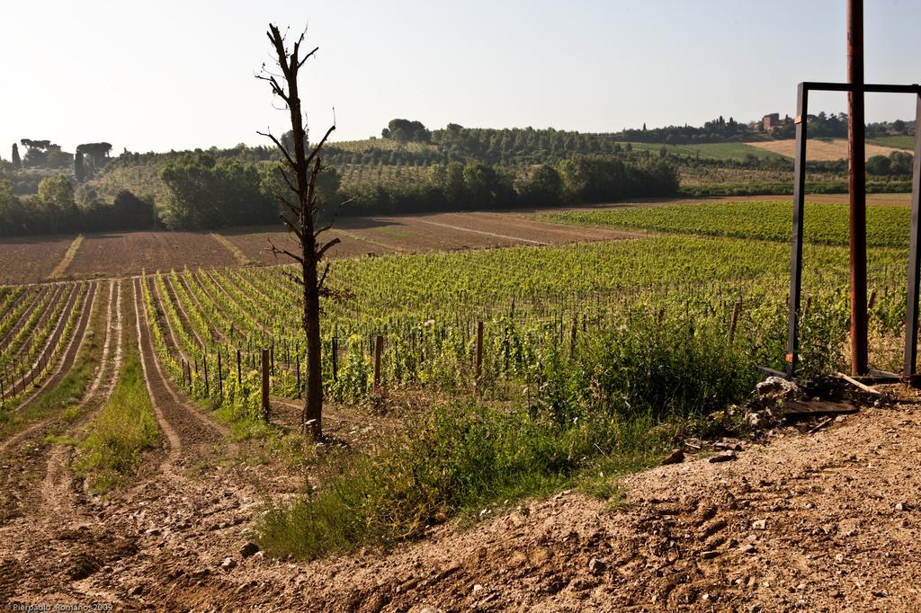 Tenuta Di Petriolo Pension Torrita di Siena Buitenkant foto