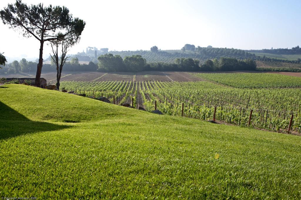 Tenuta Di Petriolo Pension Torrita di Siena Buitenkant foto